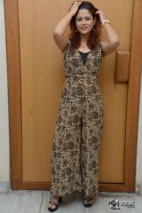 Shilpa Chakravarthy at Mogali Puvvu Movie Trailer Launch